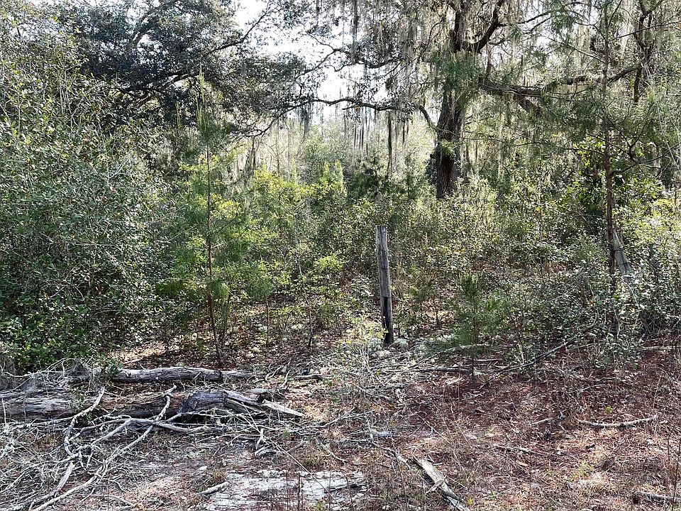 2nd image of 306 PALMETTO Avenue N