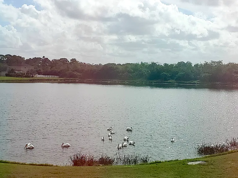 Fishing Lake