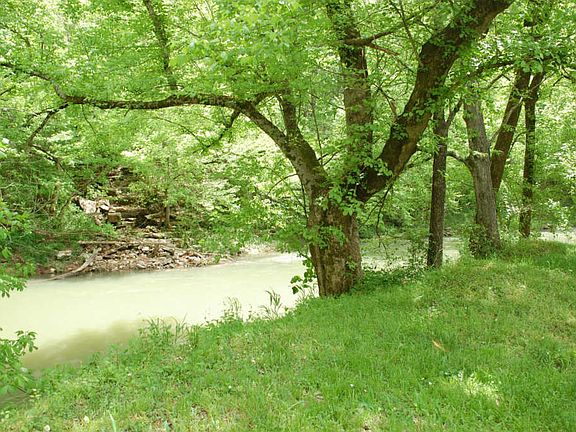 3rd image of 1571 Raven Rd