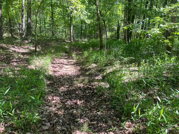 0 E Red Barn Rd, Cave City, AR 72521