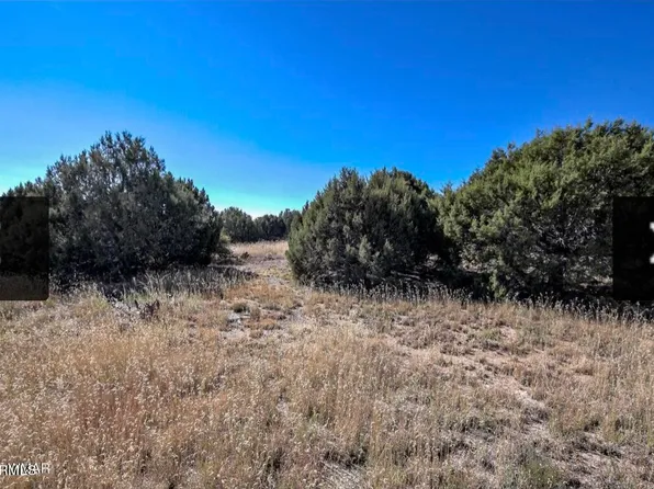 4683 S WHITE MOUNTAIN Road #-, Clay Springs, AZ 85923