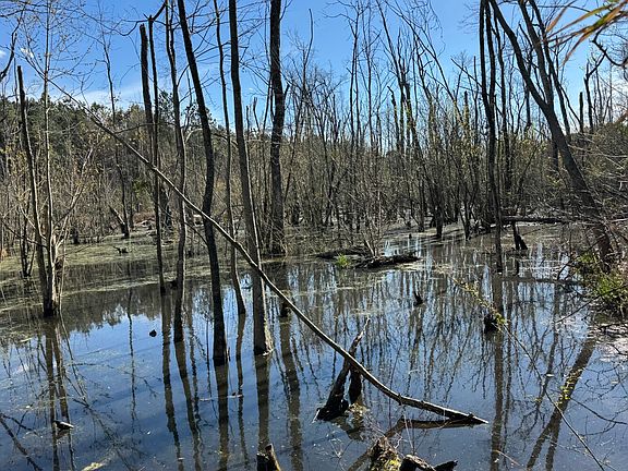 5th image of 0 Pinkney Rd NW