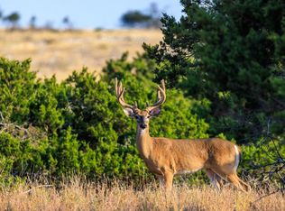 3417 Kc #443, Harper, TX 78631