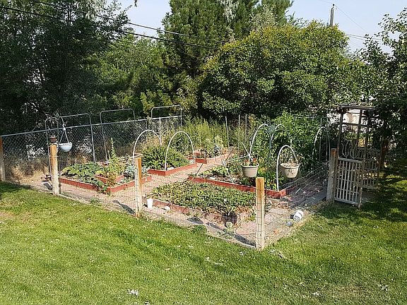 Established garden