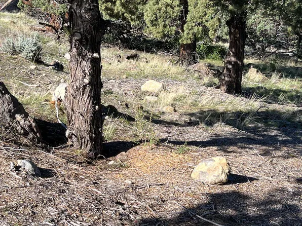 Harbor View Dr Unit 1, Weed, CA 96094