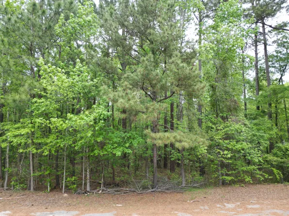 231 Morningside Dr, Saint Matthews, SC 29135