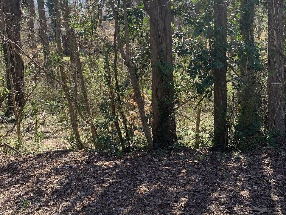 2nd image of 0 Peachtree Ln #65