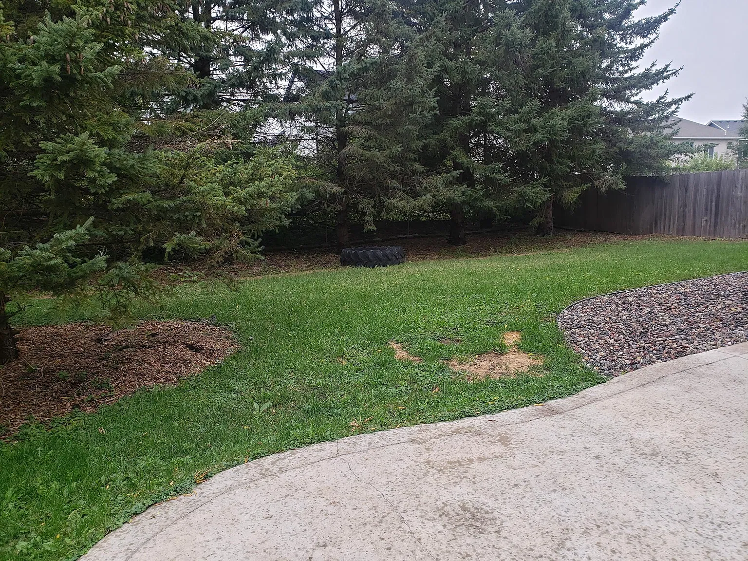 3 bed, 1670 sqft, $2,100 — Photo 3