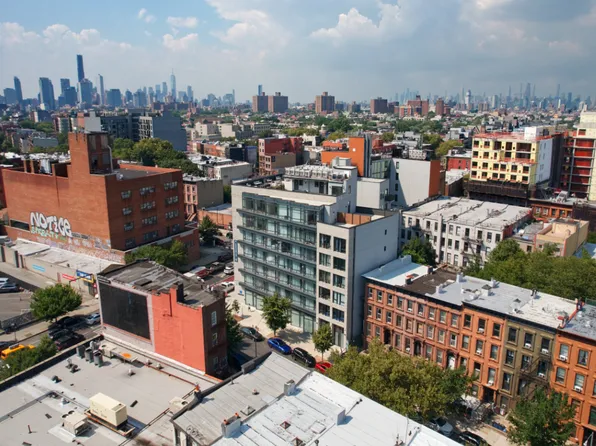 11 Herkimer Street image 11 of 18