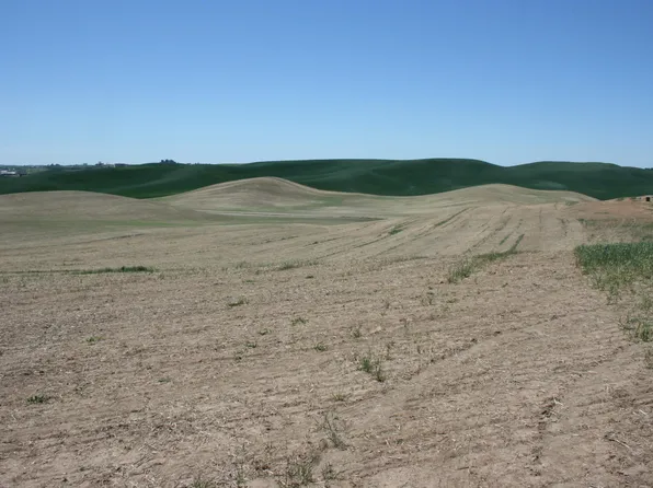 11 Golden Wheat Ln, Pullman, WA 99163
