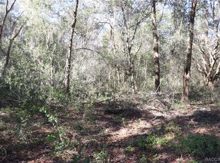 12330 N Ruff Point, Dunnellon, FL 34433