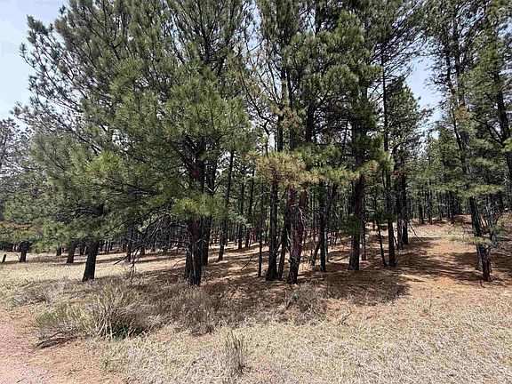 3rd image of Lot 22 Valley Rd
