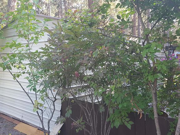 5th image of 3050 E Collingwood Ave