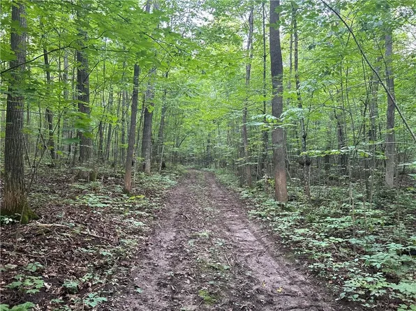 N1027 County Highway MD, Sarona, WI 54870