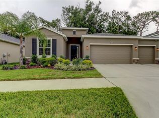 10434 Riverdale Rise Dr, Riverview, FL 33578