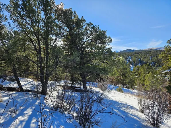 000 42nd Trail, Cotopaxi, CO 81223