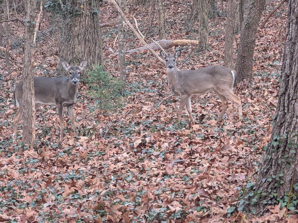 (undisclosed Address)