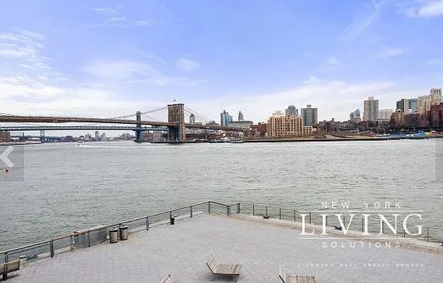 Rented by NY Living Solutions | media 28