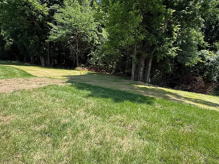 1377 Mourning Cloak Dr — Photo 29