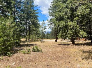 4 Mazama Meadows Ln, Mazama, WA 98833