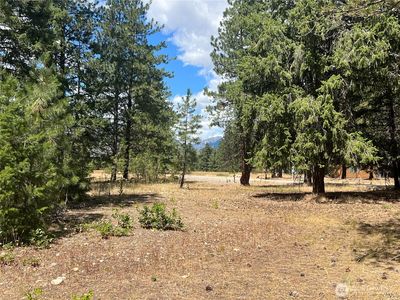 4 Mazama Meadows Lane, Mazama, WA, 98833