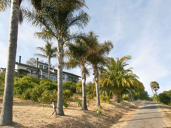 Palm-lined Entry & Home
