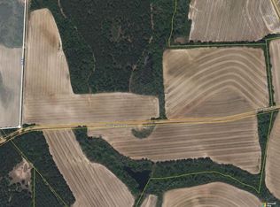 0 State Highway 301 S, Register, GA 30452