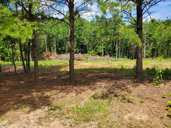 108 Stringer Rd, Landrum, SC 29356