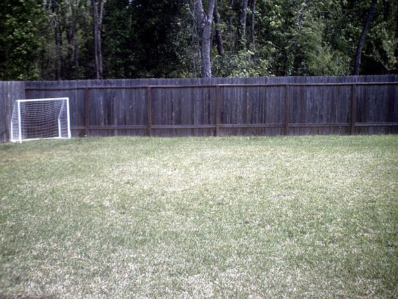 plush back yard