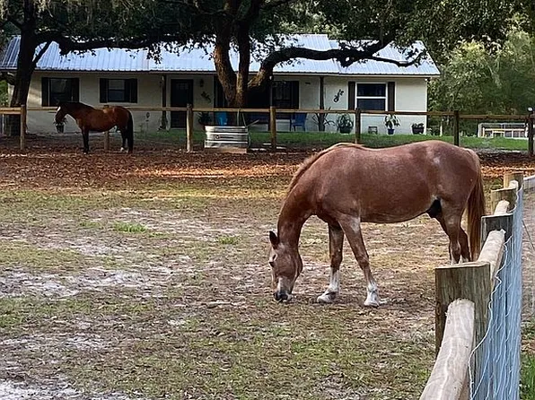 159 Kingfish Rd, Pomona Park, FL 32181