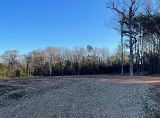 11374 Annie Creek Dr, Willis, TX 77378