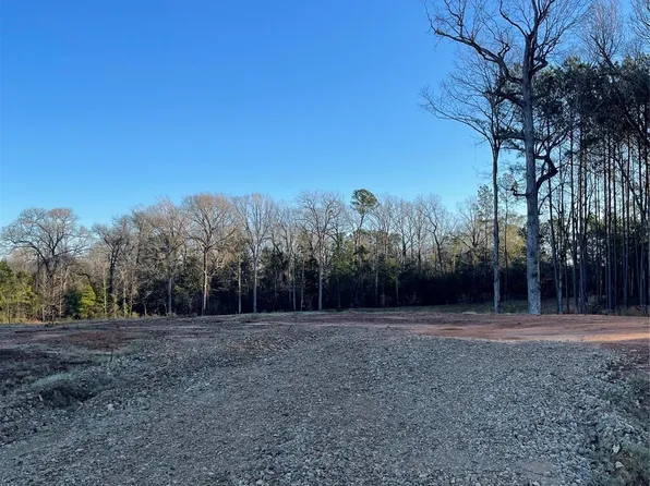 11374 Annie Creek Dr, Willis, TX 77378