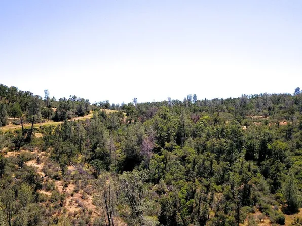 Vista La Vega Rd, Shingletown, CA 96088