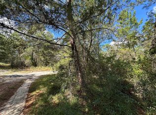 NE 138th Ave Lot 13-14, Williston, FL 32696