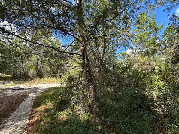 NE 138th Ave Lot 13-14, Williston, FL 32696
