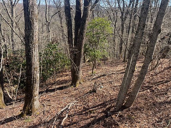 5th image of 43A Hudson Road