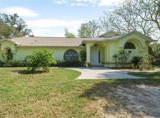 17206 Monteverde Dr, Spring Hill, FL 34610