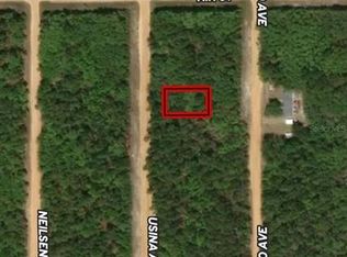 LOT 4 Usina Ave LOT 4, Interlachen, FL 32148