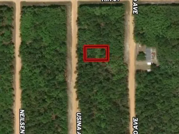 LOT 4 Usina Ave Lot 4, Interlachen, FL 32148