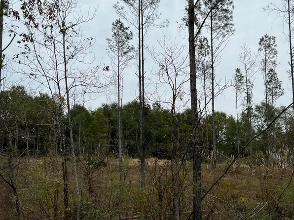 LOT 12 Point Wanita Lake Rd, Chunky, MS 39323