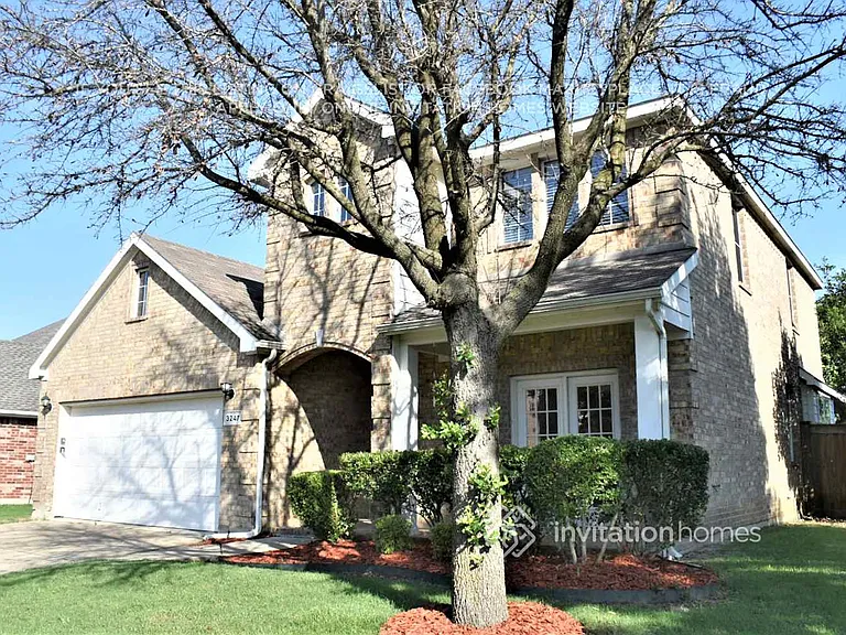 3247 Serpis — Photo 3