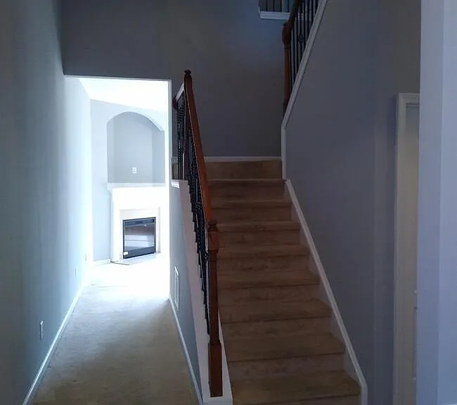 231 Greenview Ln — Photo 5