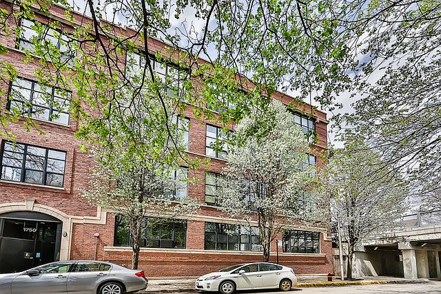 1st image of 1750 N Wolcott Ave APT 102
