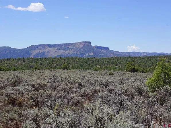 TBD-Lot 2 Hwy 184, Mancos, CO 81328