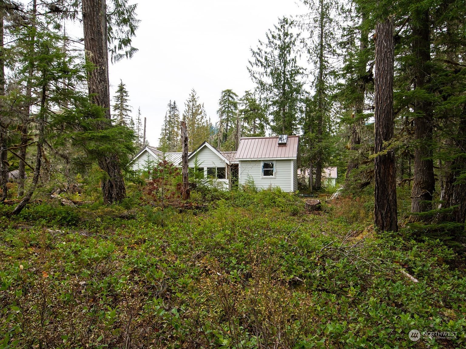 7360 USFS 81 Road, Cougar, WA 98616 Zillow