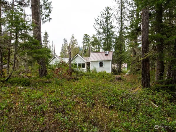 7360 USFS 81 Road, Cougar, WA 98616