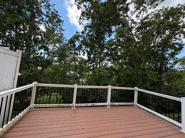 186 White Dogwood Dr — Photo 6