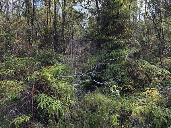 Heno St Lot 206, Volcano, HI 96785