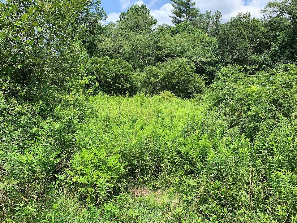 1st image of Tbd Greasy Creek Rd