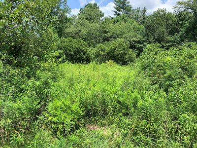 Tbd Greasy Creek Rd, Murphy, NC, 28906